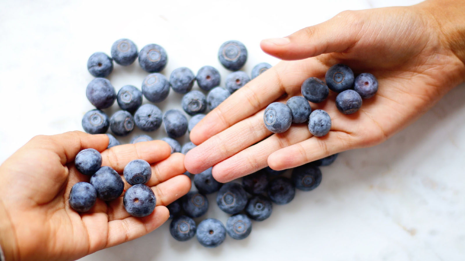 Bilberry Benefits for your eyes EuroHealth